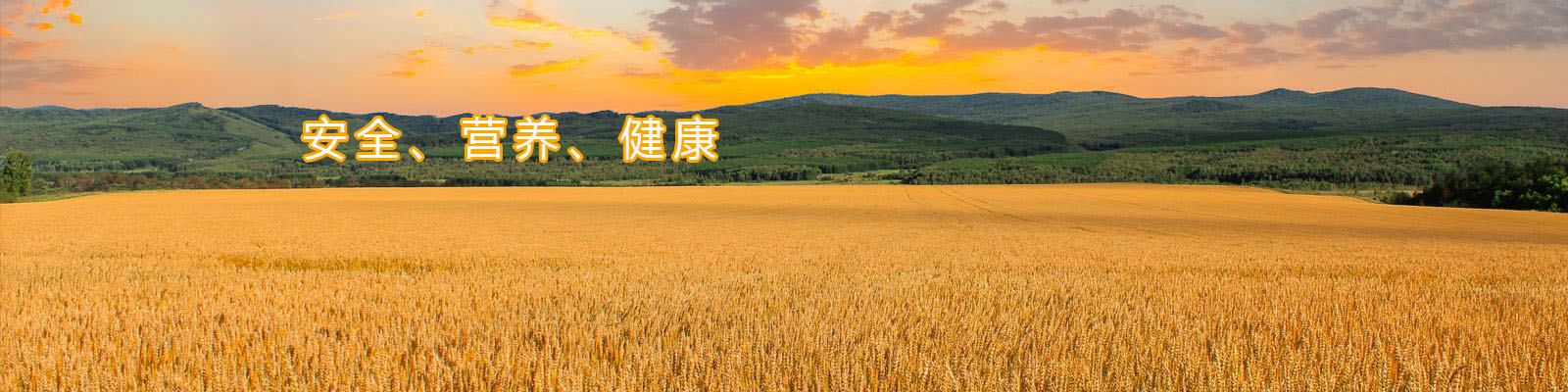 |ǡsbobet(й½)ٷվ